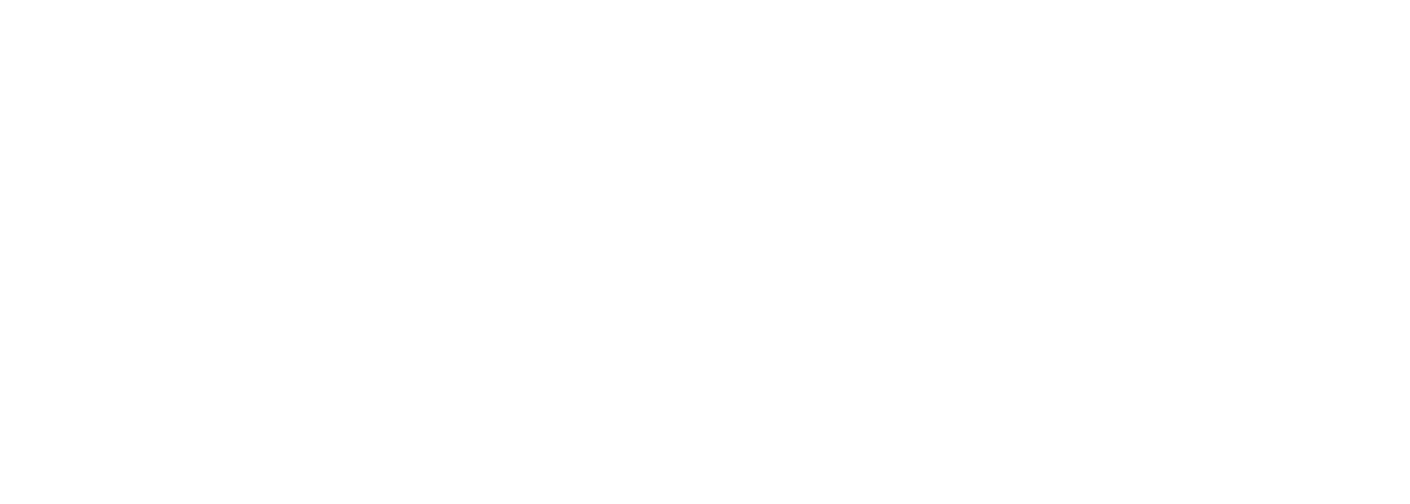 Logo Il Punto Flushing white